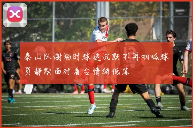 泰山队谢场时球迷沉默不再呐喊球员静默面对看台情绪低落