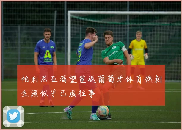 帕利尼亚渴望重返葡萄牙体育热刺生涯似乎已成往事